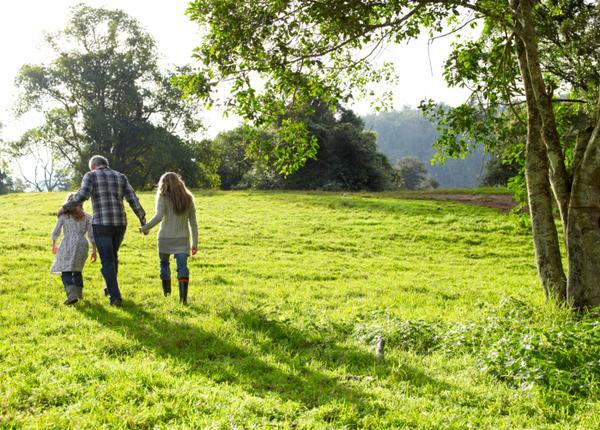 a family walking in an open field